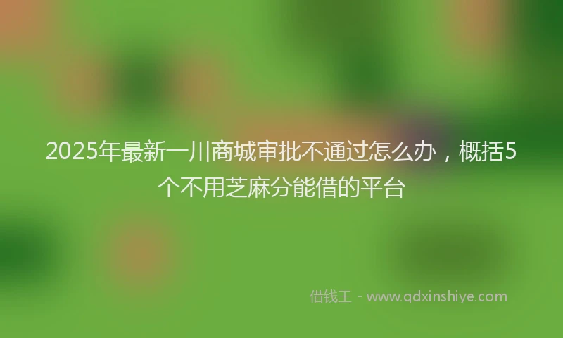 2025年最新一川商城审批不通过怎么办，概括5个不用芝麻分能借的平台