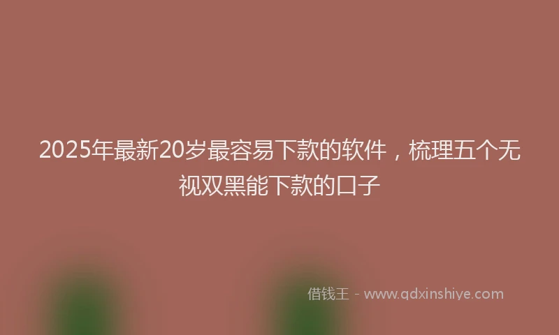 2025年最新20岁最容易下款的软件，梳理五个无视双黑能下款的口子