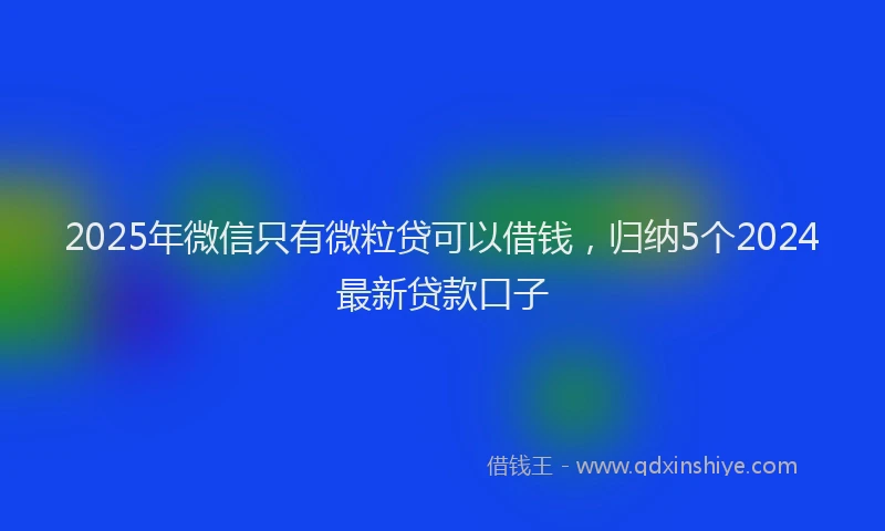 2025年微信只有微粒贷可以借钱，归纳5个2024最新贷款口子