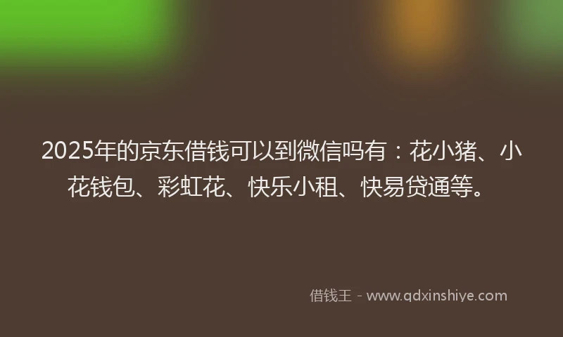 2025年的京东借钱可以到微信吗有：花小猪、小花钱包、彩虹花、快乐小租、快易贷通等。