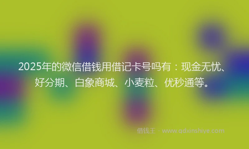 2025年的微信借钱用借记卡号吗有：现金无忧、好分期、白象商城、小麦粒、优秒通等。