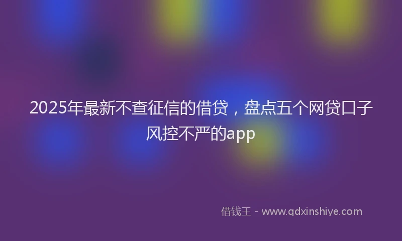 2025年最新不查征信的借贷，盘点五个网贷口子风控不严的app