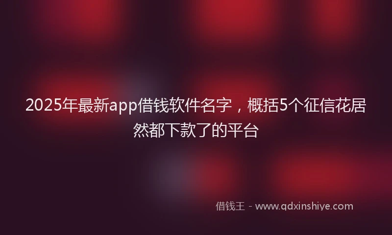 2025年最新app借钱软件名字，概括5个征信花居然都下款了的平台