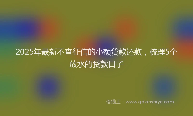 2025年最新不查征信的小额贷款还款，梳理5个放水的贷款口子