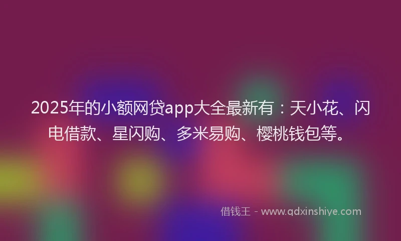 2025年的小额网贷app大全最新有：天小花、闪电借款、星闪购、多米易购、樱桃钱包等。
