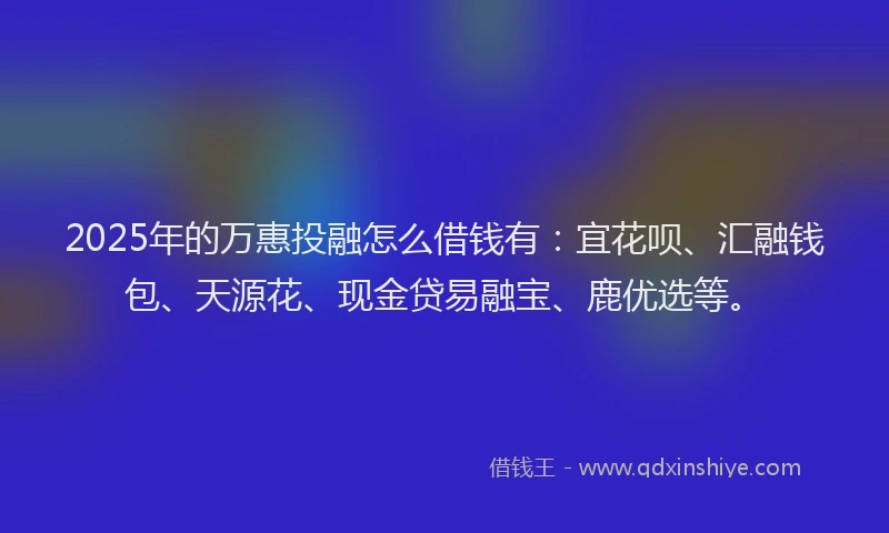 2025年的万惠投融怎么借钱有：宜花呗、汇融钱包、天源花、现金贷易融宝、鹿优选等。