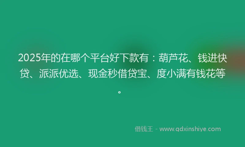 2025年的在哪个平台好下款有：葫芦花、钱进快贷、派派优选、现金秒借贷宝、度小满有钱花等。