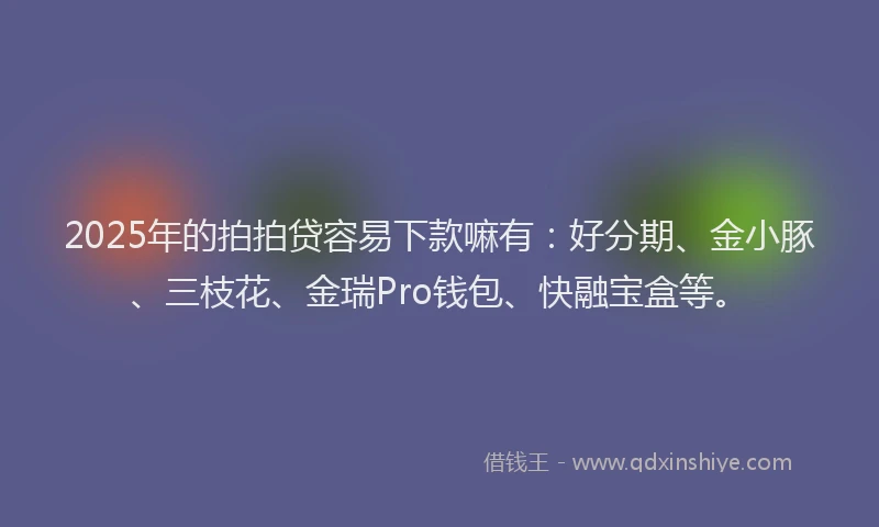 2025年的拍拍贷容易下款嘛有：好分期、金小豚、三枝花、金瑞Pro钱包、快融宝盒等。
