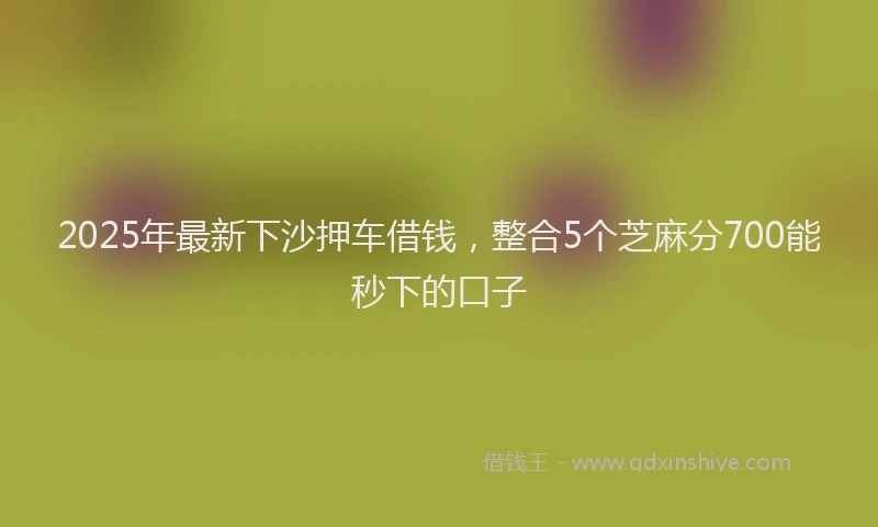 2025年最新下沙押车借钱，整合5个芝麻分700能秒下的口子