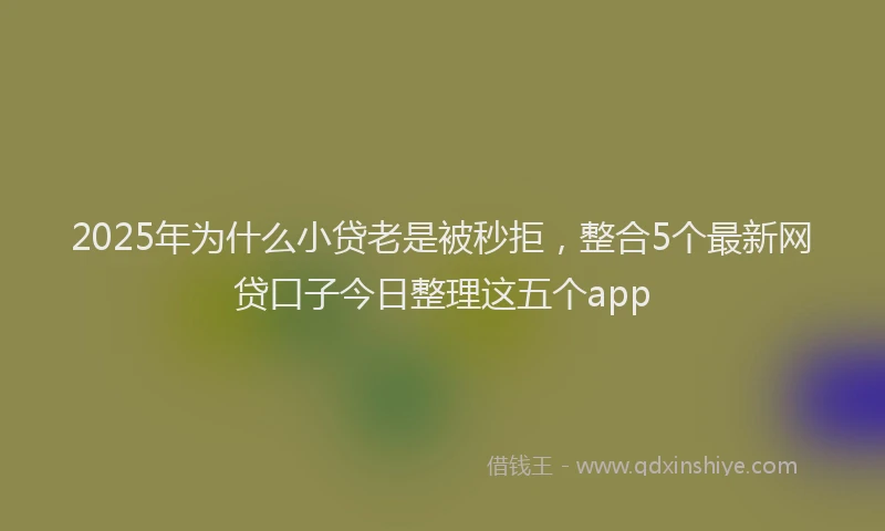 2025年为什么小贷老是被秒拒，整合5个最新网贷口子今日整理这五个app