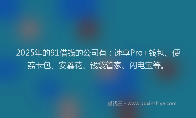 2025年的91借钱的公司有：速享Pro+钱包、便荔卡包、安鑫花、钱袋管家、闪电宝等。