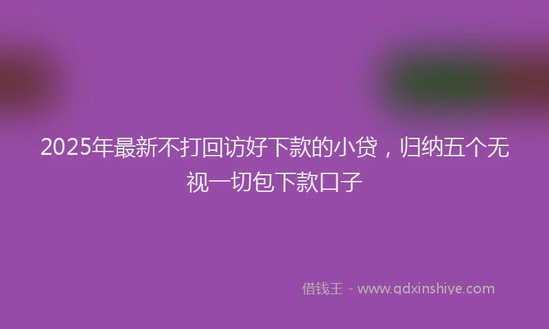 2025年最新不打回访好下款的小贷，归纳五个无视一切包下款口子