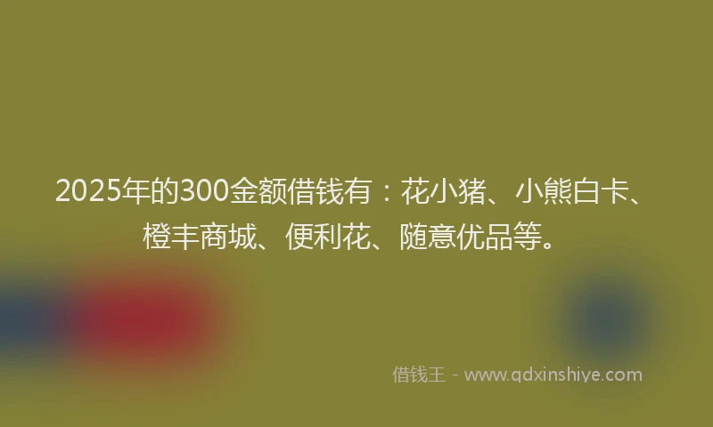 2025年的300金额借钱有：花小猪、小熊白卡、橙丰商城、便利花、随意优品等。