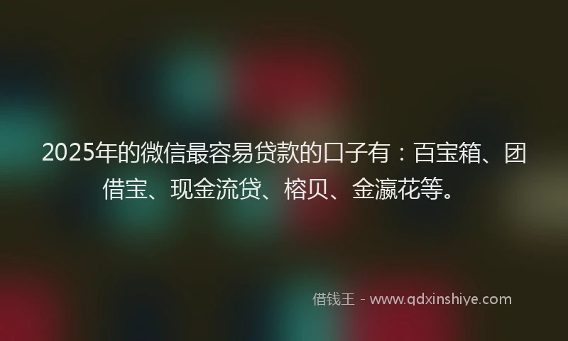 2025年的微信最容易贷款的口子有：百宝箱、团借宝、现金流贷、榕贝、金瀛花等。