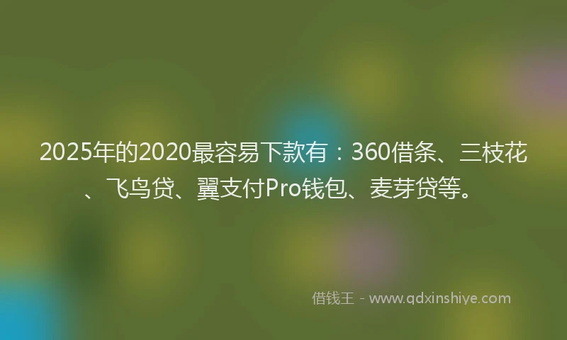 2025年的2020最容易下款有：360借条、三枝花、飞鸟贷、翼支付Pro钱包、麦芽贷等。