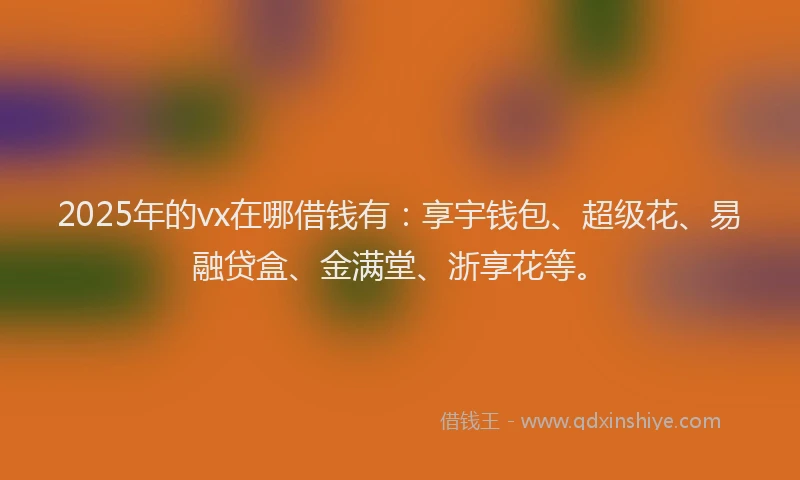 2025年的vx在哪借钱有：享宇钱包、超级花、易融贷盒、金满堂、浙享花等。