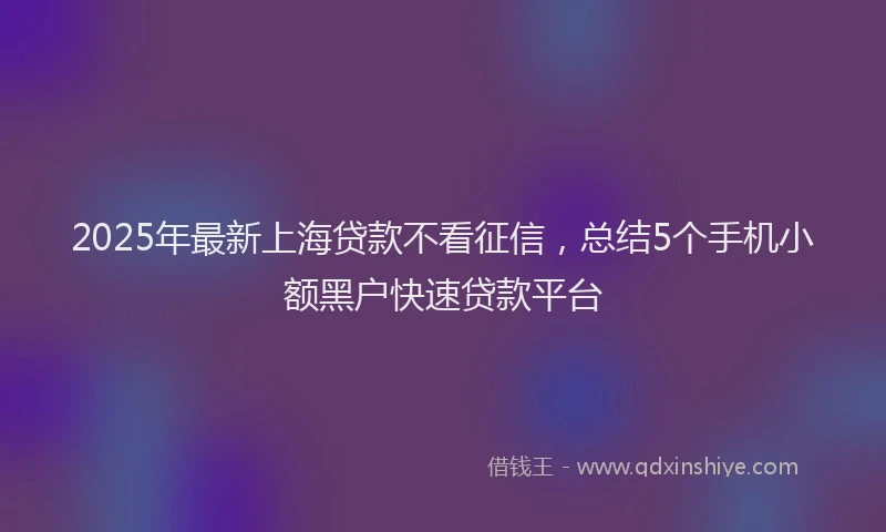 2025年最新上海贷款不看征信，总结5个手机小额黑户快速贷款平台