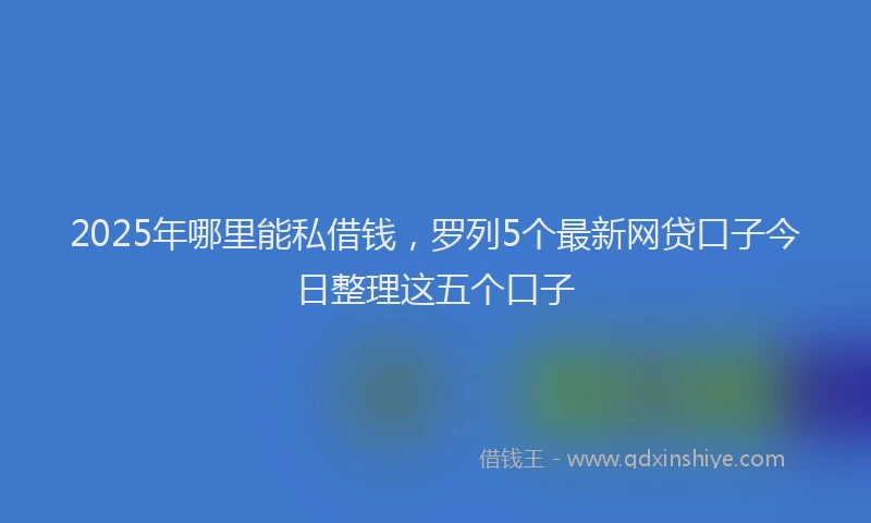 2025年哪里能私借钱，罗列5个最新网贷口子今日整理这五个口子