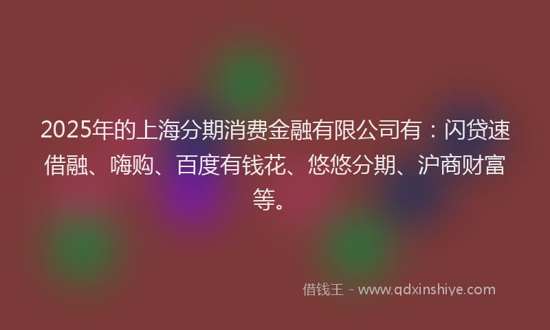 2025年的上海分期消费金融有限公司有：闪贷速借融、嗨购、百度有钱花、悠悠分期、沪商财富等。