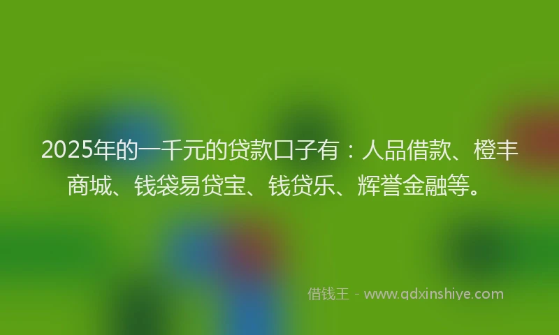 2025年的一千元的贷款口子有：人品借款、橙丰商城、钱袋易贷宝、钱贷乐、辉誉金融等。