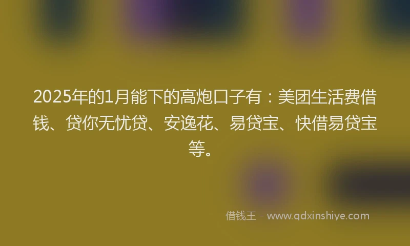 2025年的1月能下的高炮口子有：美团生活费借钱、贷你无忧贷、安逸花、易贷宝、快借易贷宝等。