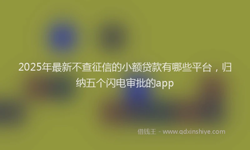 2025年最新不查征信的小额贷款有哪些平台，归纳五个闪电审批的app