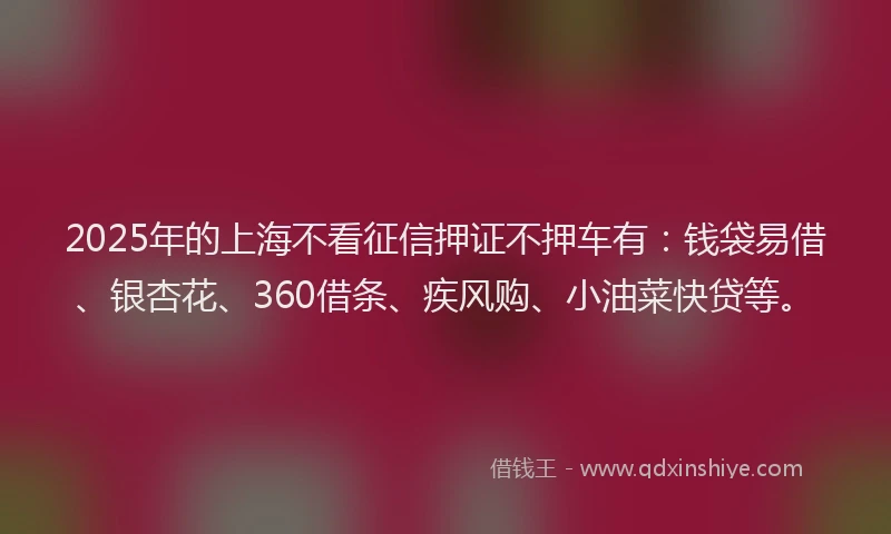 2025年的上海不看征信押证不押车有：钱袋易借、银杏花、360借条、疾风购、小油菜快贷等。