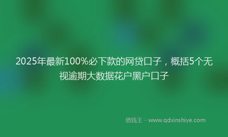 2025年最新100%必下款的网贷口子，概括5个无视逾期大数据花户黑户口子