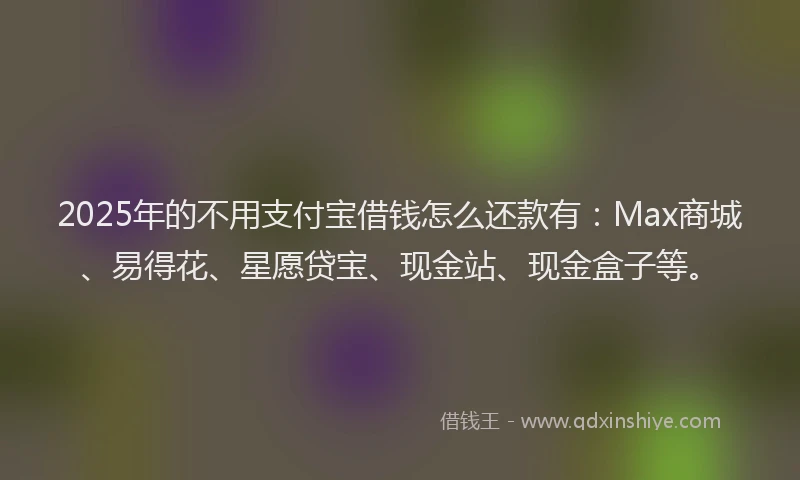 2025年的不用支付宝借钱怎么还款有：Max商城、易得花、星愿贷宝、现金站、现金盒子等。