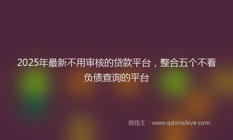 2025年最新不用审核的贷款平台，整合五个不看负债查询的平台
