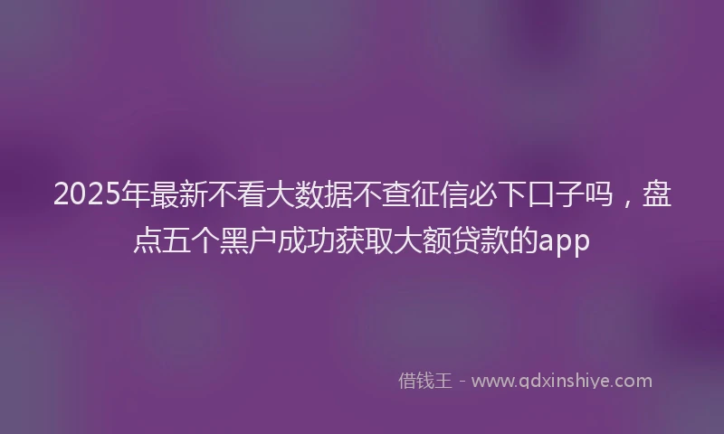 2025年最新不看大数据不查征信必下口子吗，盘点五个黑户成功获取大额贷款的app