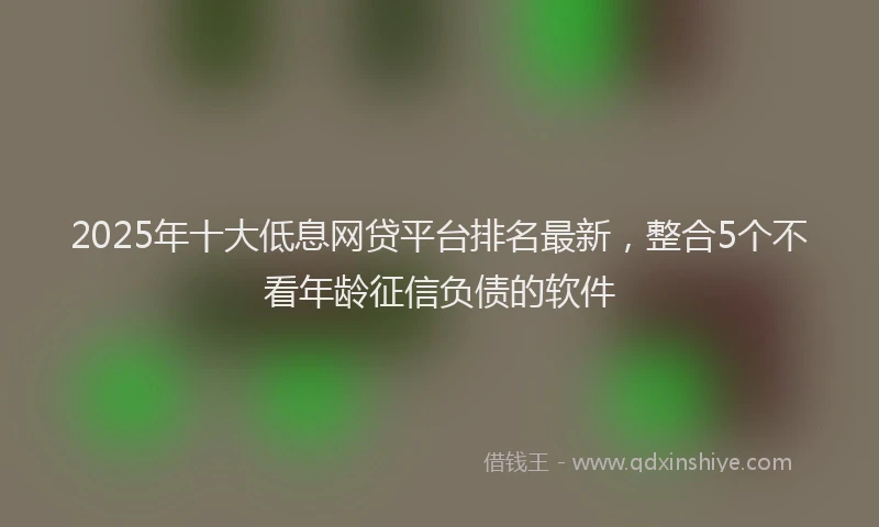 2025年十大低息网贷平台排名最新，整合5个不看年龄征信负债的软件