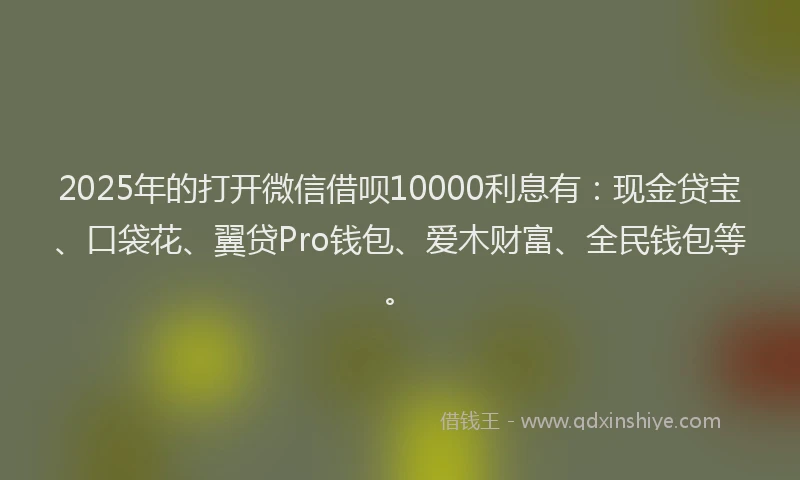 2025年的打开微信借呗10000利息有：现金贷宝、口袋花、翼贷Pro钱包、爱木财富、全民钱包等。
