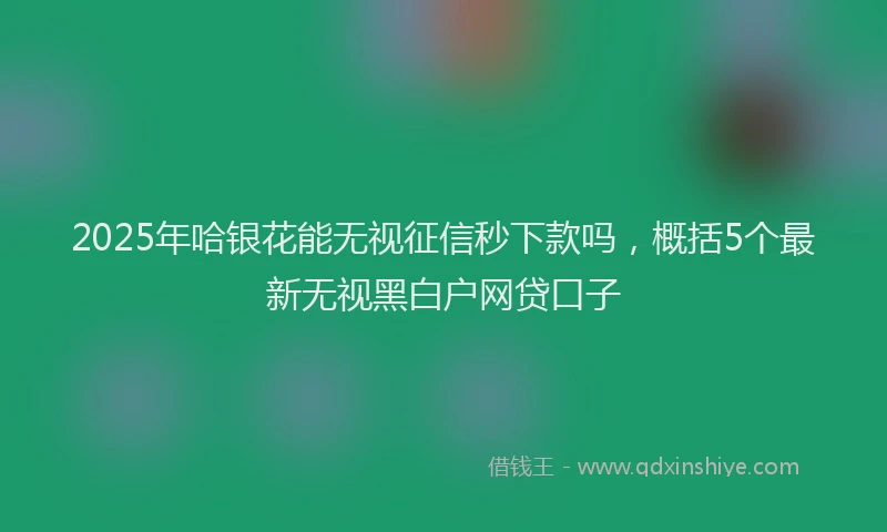 2025年哈银花能无视征信秒下款吗，概括5个最新无视黑白户网贷口子