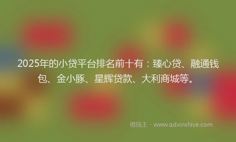2025年的小贷平台排名前十有：臻心贷、融通钱包、金小豚、星辉贷款、大利商城等。