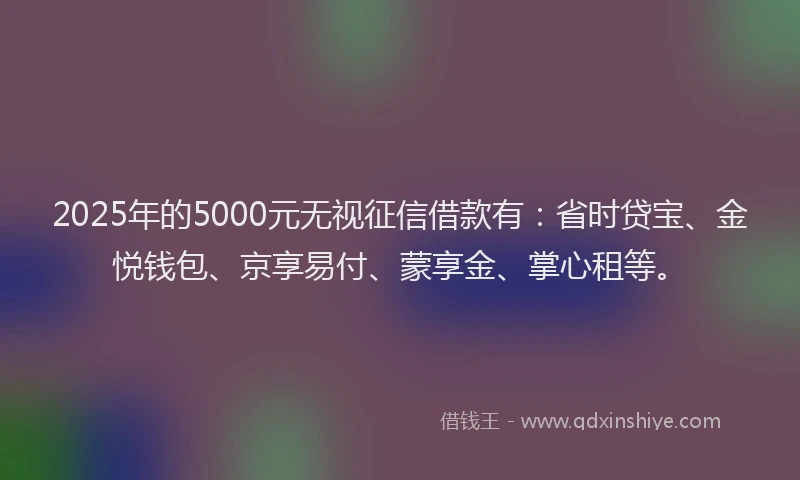 2025年的5000元无视征信借款有：省时贷宝、金悦钱包、京享易付、蒙享金、掌心租等。