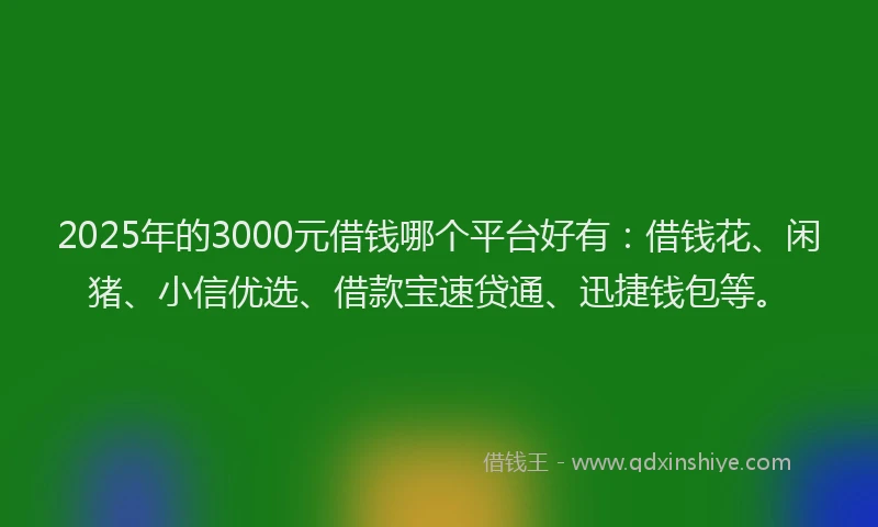 2025年的3000元借钱哪个平台好有：借钱花、闲猪、小信优选、借款宝速贷通、迅捷钱包等。