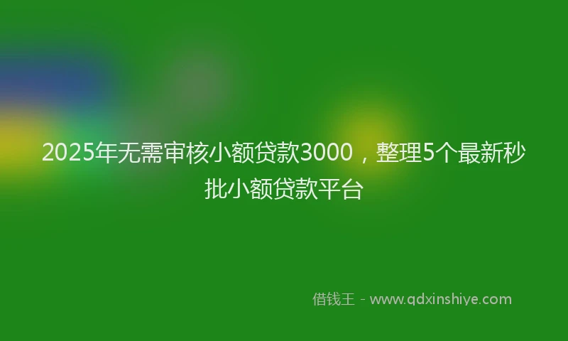 2025年无需审核小额贷款3000，整理5个最新秒批小额贷款平台