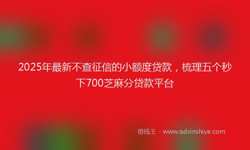 2025年最新不查征信的小额度贷款，梳理五个秒下700芝麻分贷款平台
