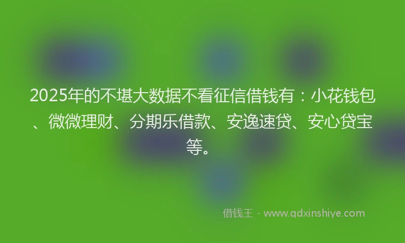 2025年的不堪大数据不看征信借钱有：小花钱包、微微理财、分期乐借款、安逸速贷、安心贷宝等。