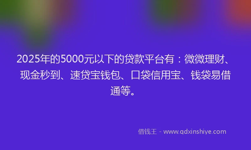 2025年的5000元以下的贷款平台有：微微理财、现金秒到、速贷宝钱包、口袋信用宝、钱袋易借通等。