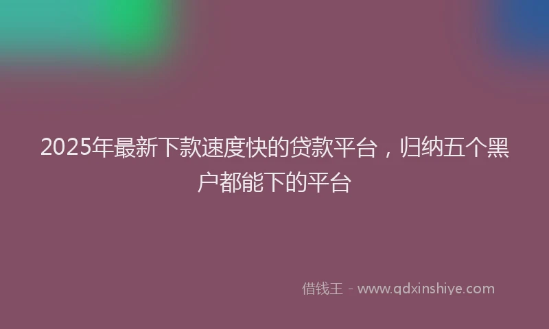 2025年最新下款速度快的贷款平台，归纳五个黑户都能下的平台