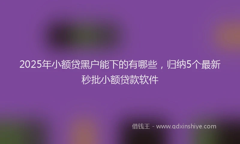 2025年小额贷黑户能下的有哪些，归纳5个最新秒批小额贷款软件