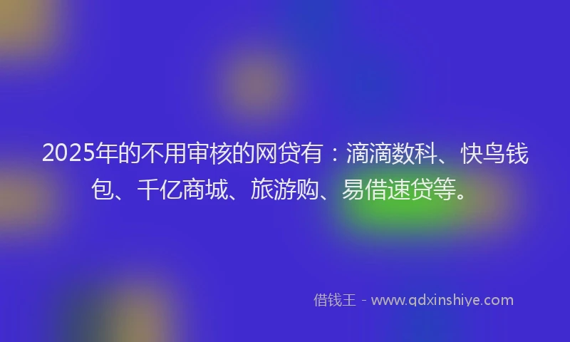 2025年的不用审核的网贷有：滴滴数科、快鸟钱包、千亿商城、旅游购、易借速贷等。