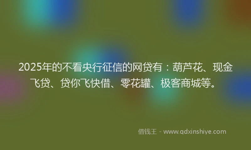 2025年的不看央行征信的网贷有：葫芦花、现金飞贷、贷你飞快借、零花罐、极客商城等。