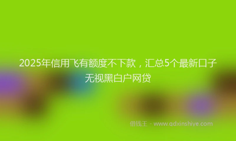 2025年信用飞有额度不下款，汇总5个最新口子无视黑白户网贷