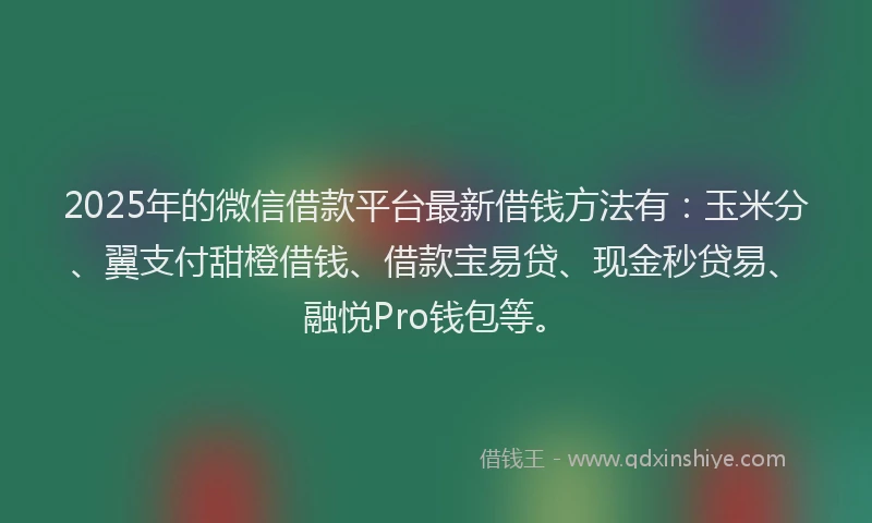 2025年的微信借款平台最新借钱方法有：玉米分、翼支付甜橙借钱、借款宝易贷、现金秒贷易、融悦Pro钱包等。