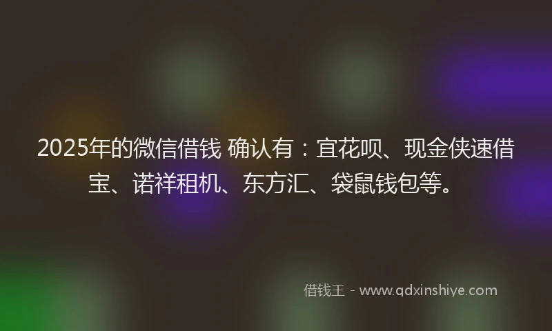 2025年的微信借钱 确认有：宜花呗、现金侠速借宝、诺祥租机、东方汇、袋鼠钱包等。