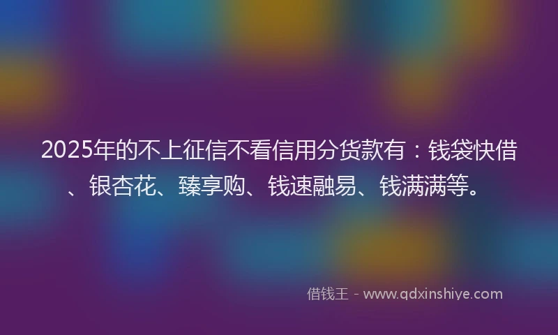 2025年的不上征信不看信用分货款有：钱袋快借、银杏花、臻享购、钱速融易、钱满满等。