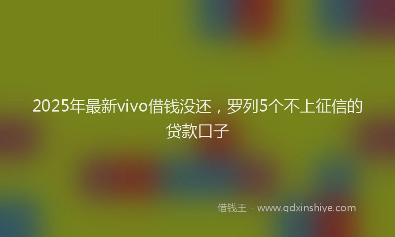 2025年最新vivo借钱没还，罗列5个不上征信的贷款口子